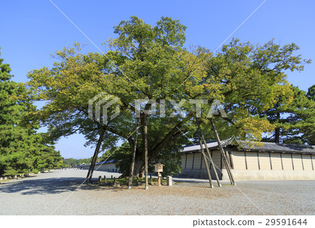 Ryou of the Kyoto Imperial Palace · Shimizuya family Ryou of the Kyoto Imperial Palace · Shimizuya family 29591644
