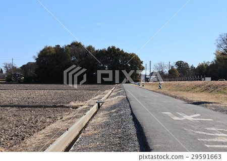 Scenery of tile roof of Ageo city Saitama prefecture 29591663