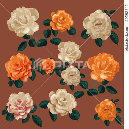 rose 29592843