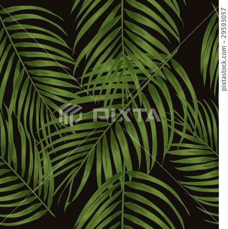 leaf 29593057