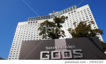 Shinagawa Goose 29593107
