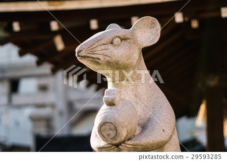 mouse 29593285
