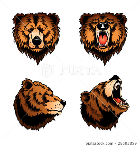 Colored Isolated Bear Heads 29593859