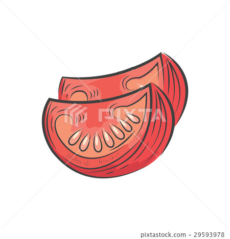Sliced tomato icon and food vector watercolor Sliced tomato icon and food vector watercolor 29593978