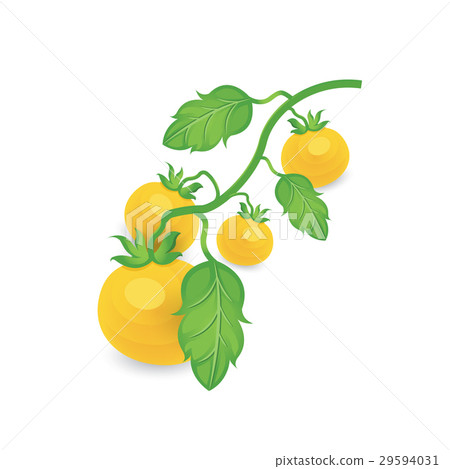 limb Tomato Yellow Color icon 29594031