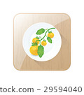 limb Tomato Yellow Color icon and button 29594040