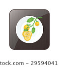 Tomato Yellow Color icon and button 29594041