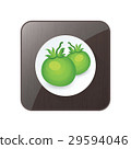 Green two Tomato 3D Icon  and button 29594046