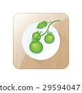 Green Tomato limb 3D Icon  and button 29594047