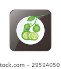 Set of Green Tomato 3D Icon and button 29594050
