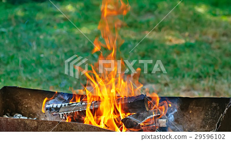Fire, flames from wood ember for grill Fire, flames from wood ember for grill 29596102