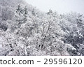 雪景 29596120