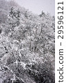 雪景 29596121