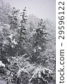 雪景 29596122
