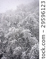 雪景 29596123