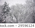 雪景 29596124