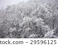 雪景 29596125
