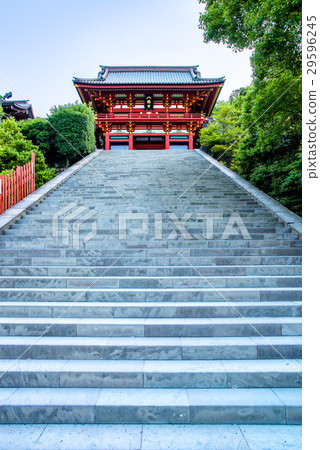 鶴岡八幡宮 29596245