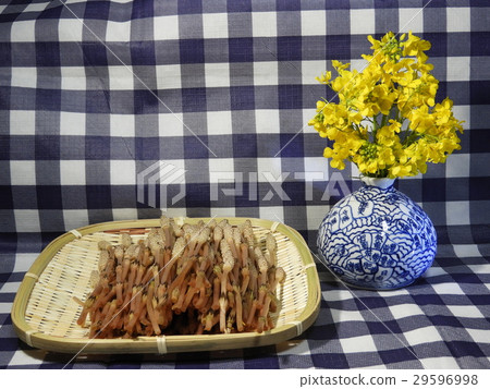 Carved rape and rape blossoms 29596998