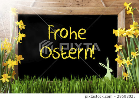 Narcissus, Bunny, Frohe Ostern Means Happy Easter 29598023