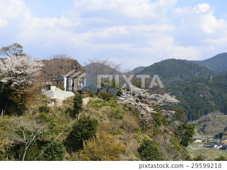 Maizuru Castle Park Observation Square 29599218