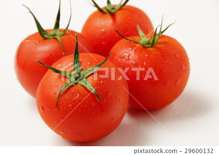 Tomato Tomato 29600132