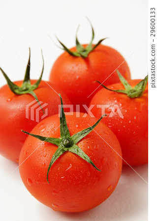 Tomato Tomato 29600133