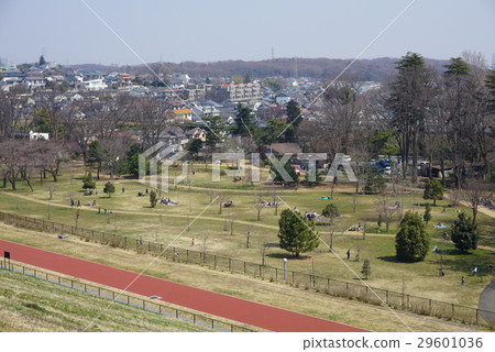 Sayama park Sayama park 29601036