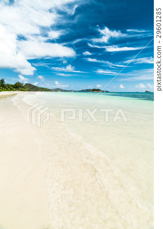 white sand beach white sand beach 29601285