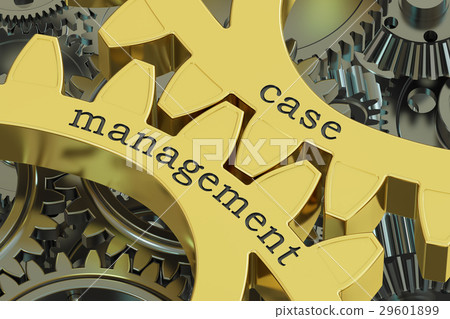 case management, concept on the gearwheels case management, concept on the gearwheels 29601899