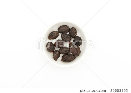 鋸棕櫚果（鋸矮棕櫚）：鋸矮棕櫚條莓果整個 29603565