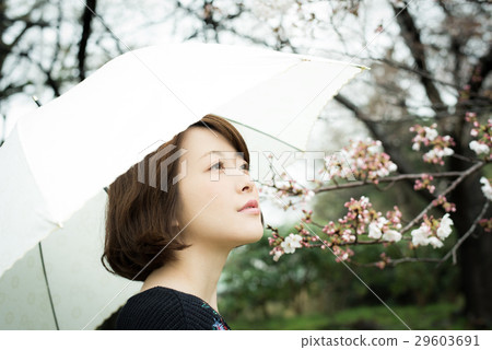 Rain Umbrella women 29603691