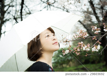 Rain Umbrella women 29603692