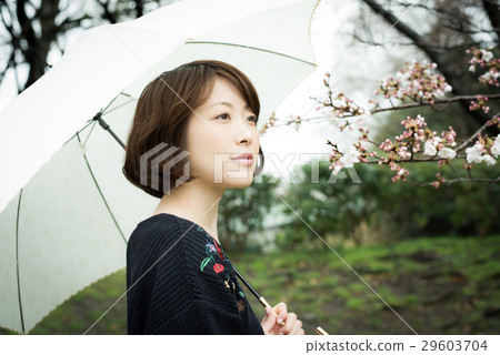 Rain Umbrella women 29603704