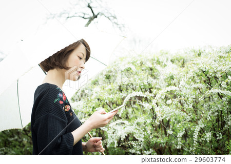 Rain Umbrella women 29603774
