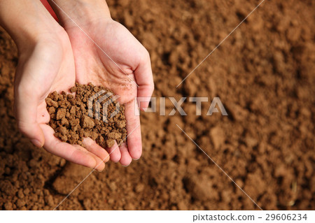 Organic Organic 29606234
