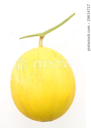 Cantaloupe isolated Cantaloupe isolated 29614717