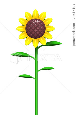 sunflower	 29616105