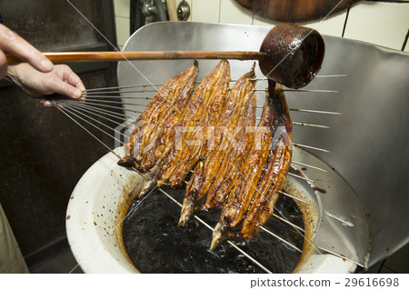 Eel of the eel 29616698