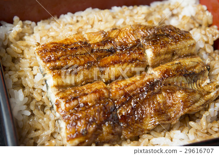 鰻魚的鰻魚 29616707