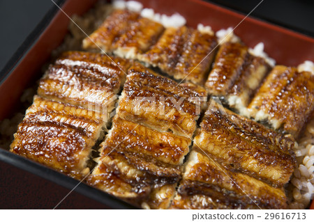 鰻魚的鰻魚 29616713