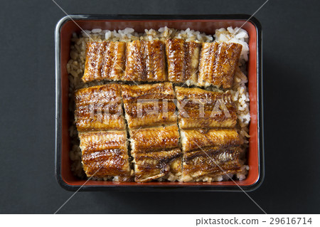 鰻魚的鰻魚 29616714