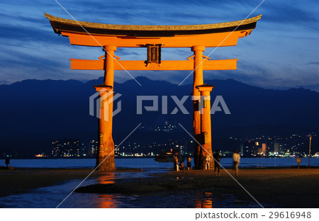 Light up of Miyajima Itsukushima Shrine Otorii Light up of Miyajima Itsukushima Shrine Otorii 29616948