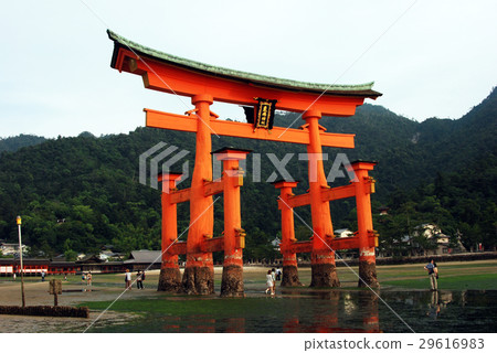 Miyajima Itsukushima Shrine Otorii Miyajima Itsukushima Shrine Otorii 29616983