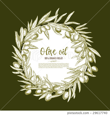 Olive oil poster of vector olives branch wreath Olive oil poster of vector olives branch wreath 29617740