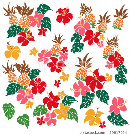 Hibiscus and pineapple 29617934