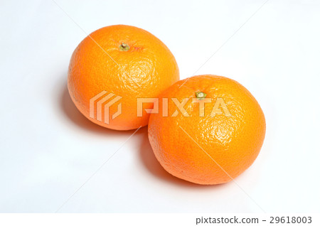 橘子 橘子 29618003