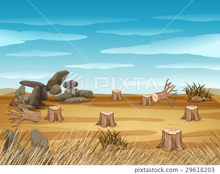 Field with stump trees Field with stump trees 29618203