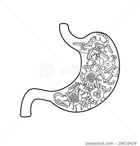 stomach with helicobacter pylori stomach with helicobacter pylori 29618426