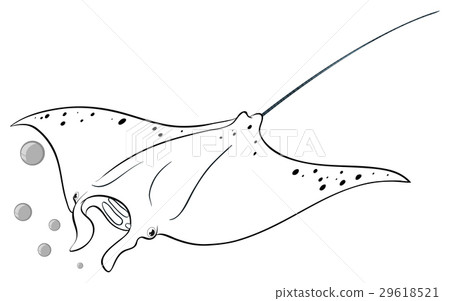 Drafting animal for stingray Drafting animal for stingray 29618521